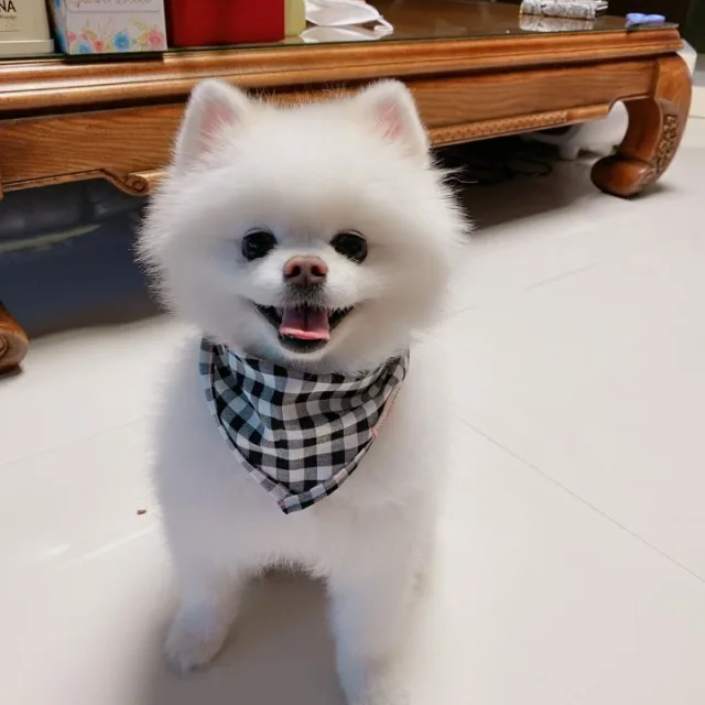 광명에