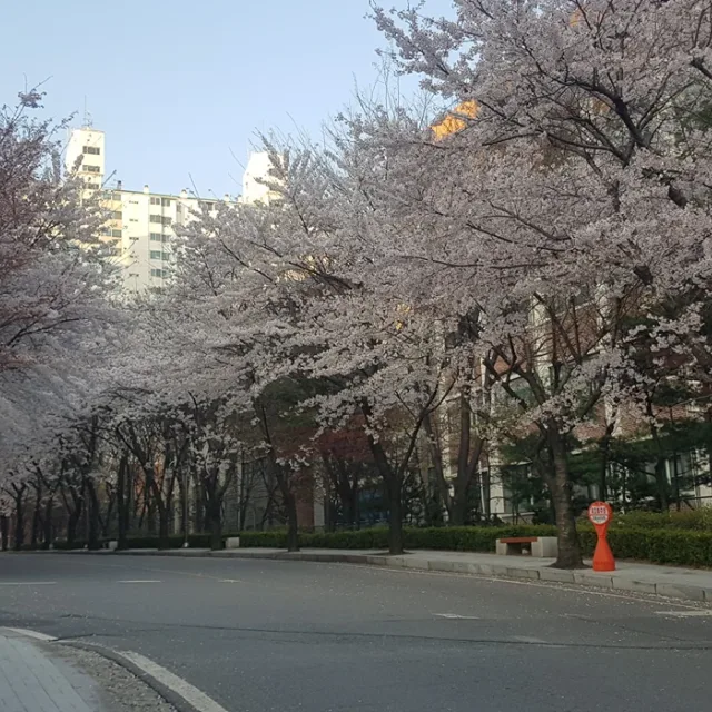 당그은