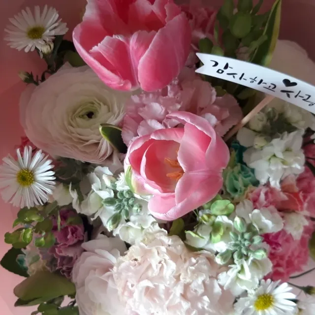 보물섬