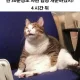 카모프