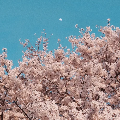 가을방학