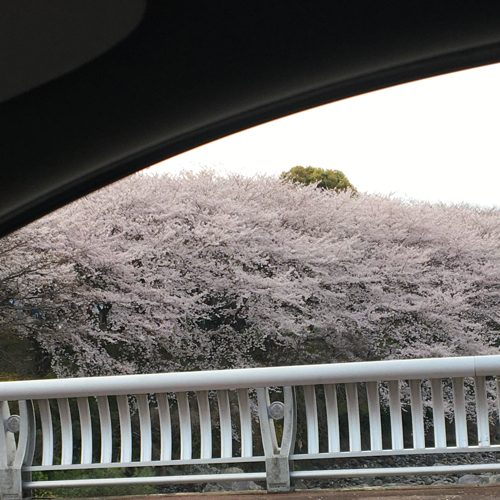반짝반짝