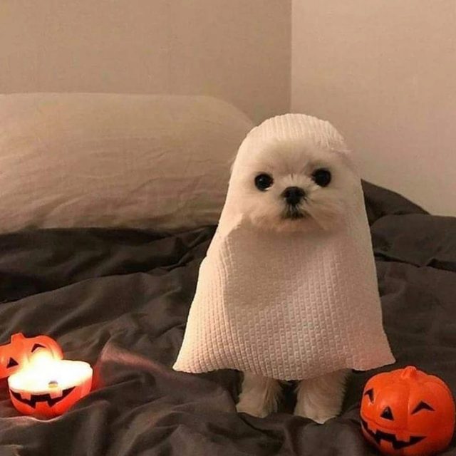 으은