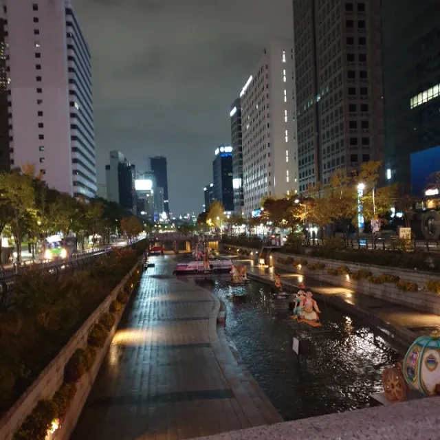 당근팔이