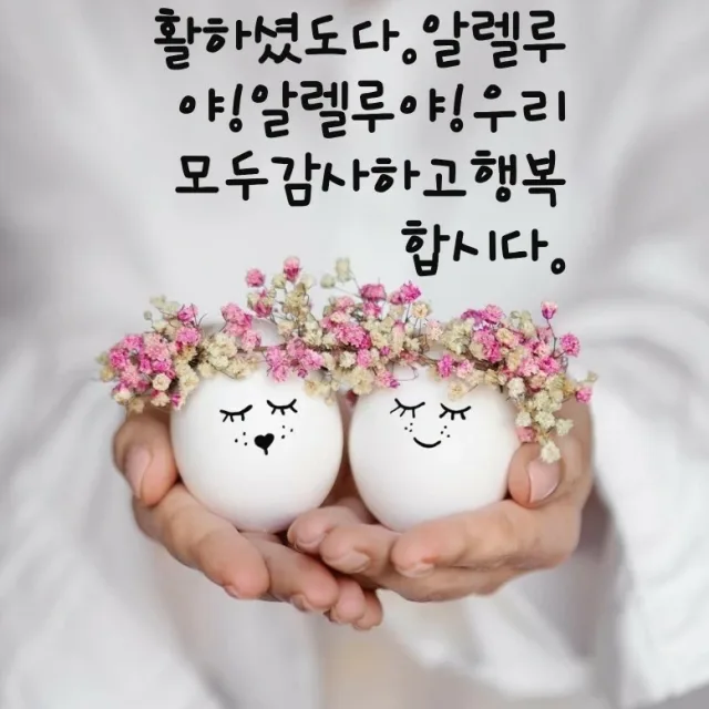 아녜스