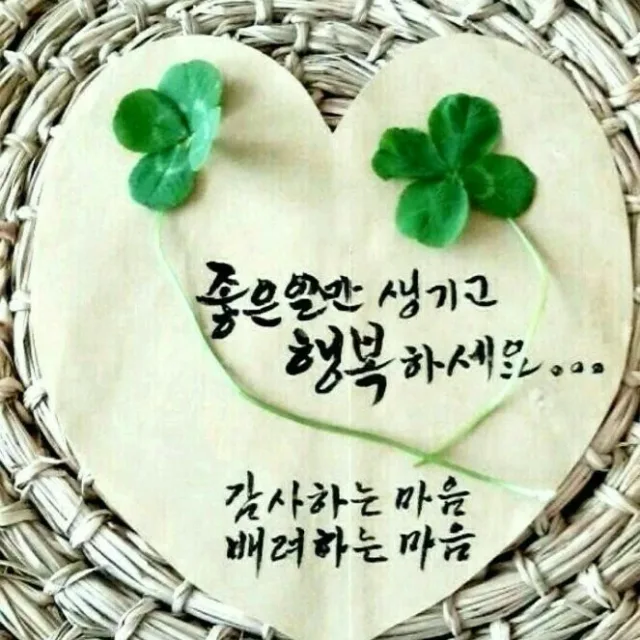 또야
