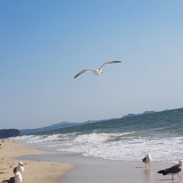 불량주부2