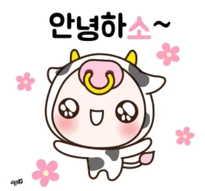 사랑씨앗
