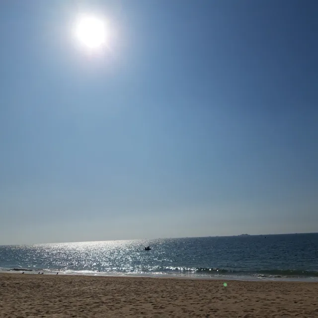 푸른바다