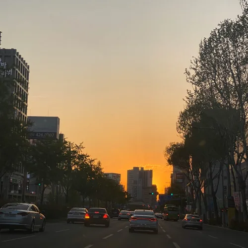 곰스크로가자