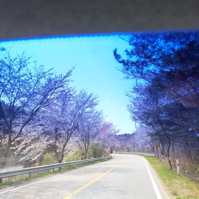 이윤주