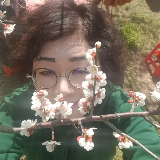 복부인