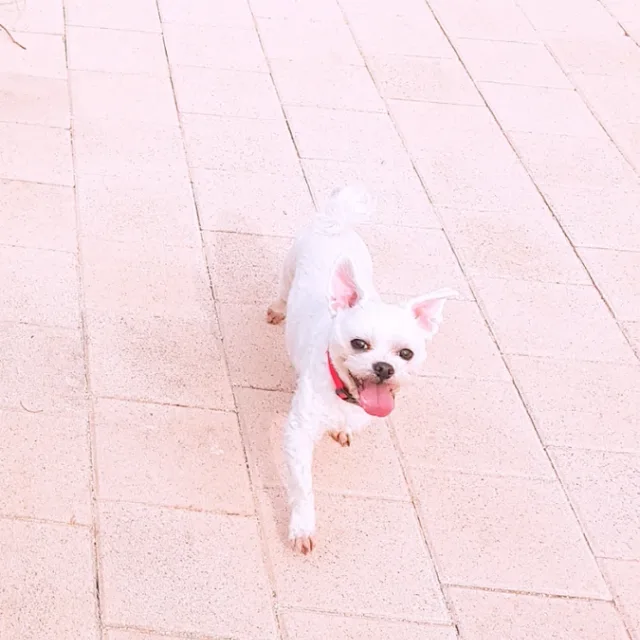 봄2