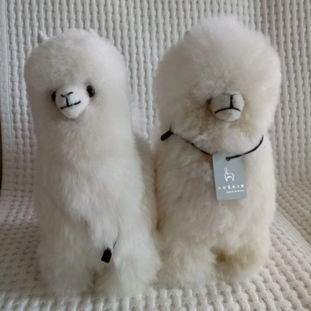 곰고미