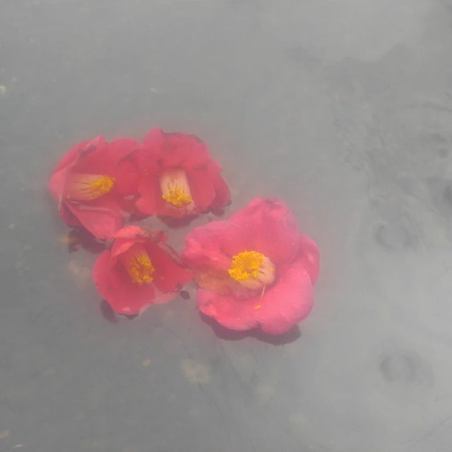 부러운