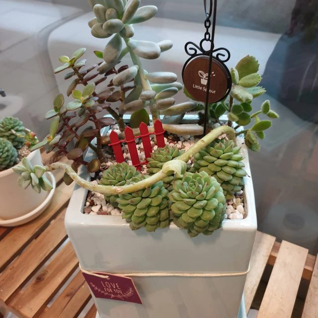 닉네임