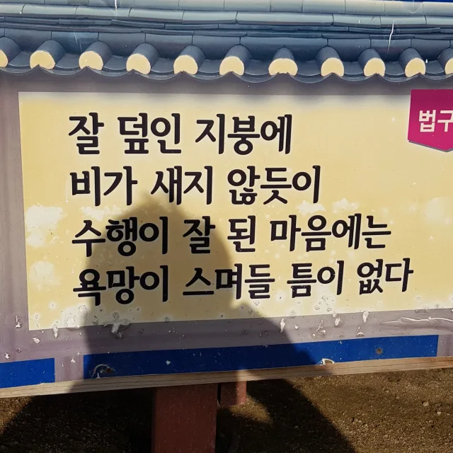 랩터01
