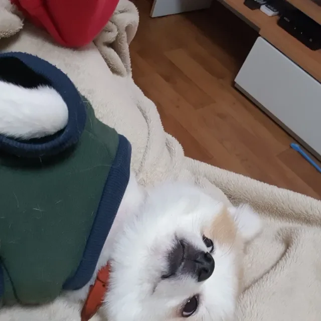 슝디