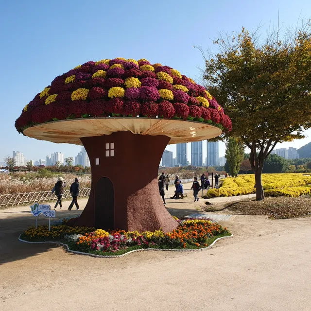 나도깹