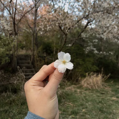 아몬드123