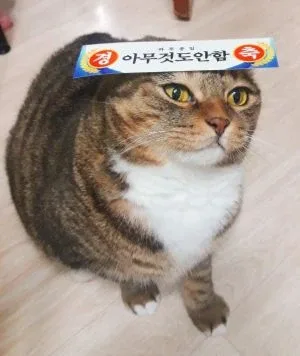 가산부엉이