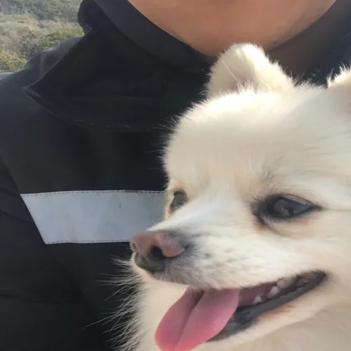 르부르상점