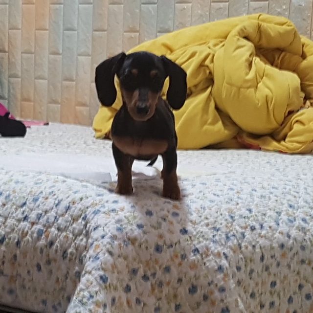낚시꾼