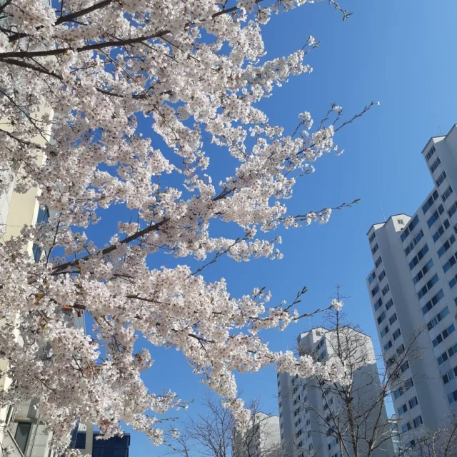하루키
