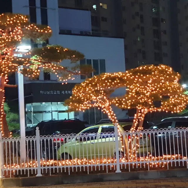 플라워