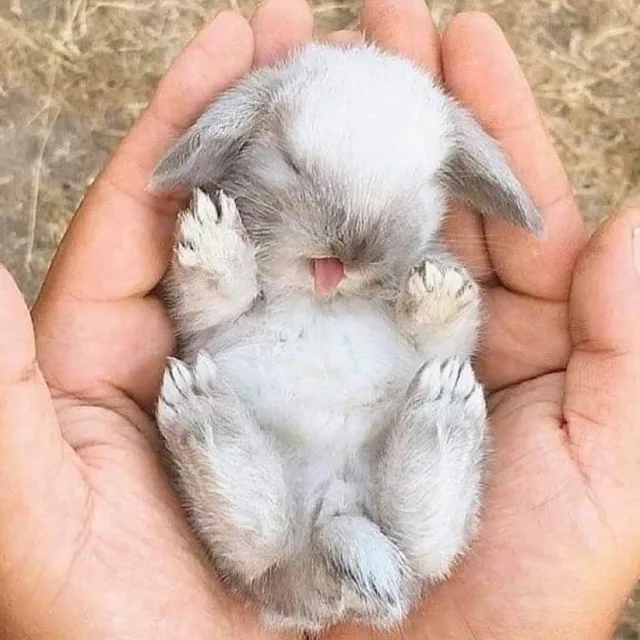 이대표