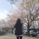 지조