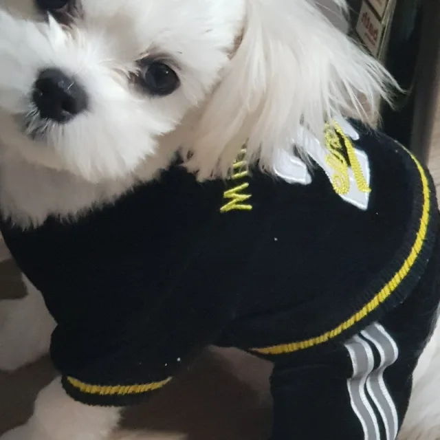 우유