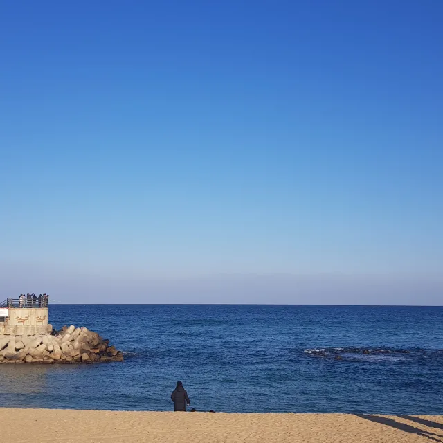 거래달인