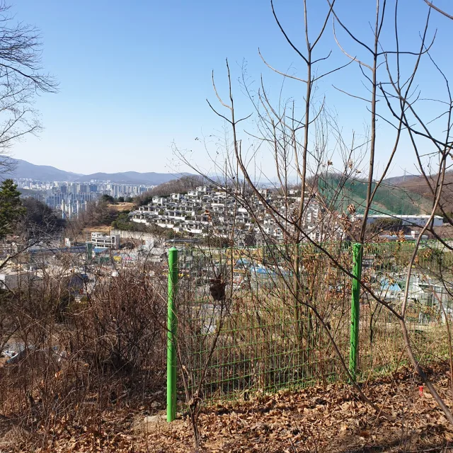 차차