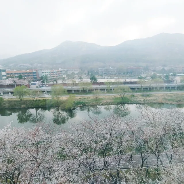 츄파춥