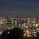 자몽그린티