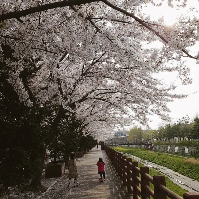 화이팅