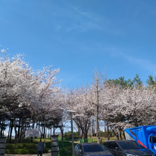 세복