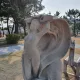 해인