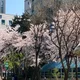 하이루