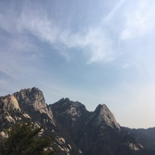 삶은여행