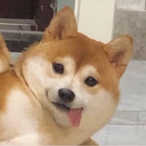 진이