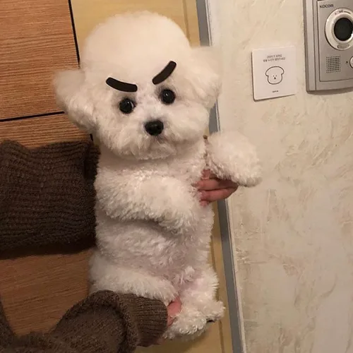 뿡뿡