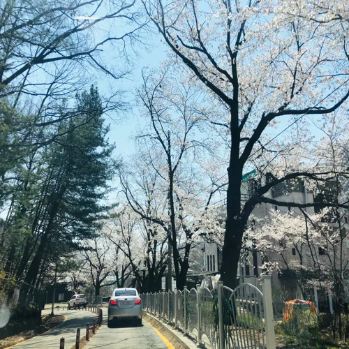 혼혼혼