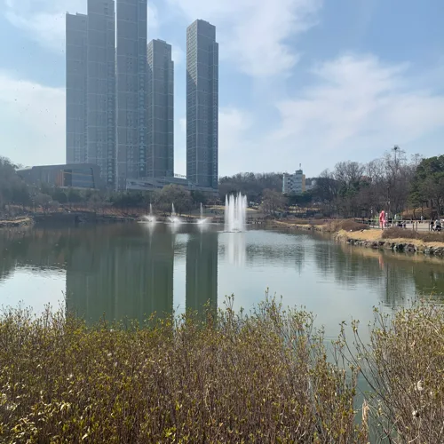 당근빠빠