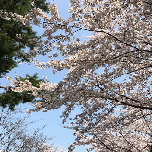 세상의빛