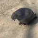 매너