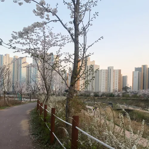여름밤