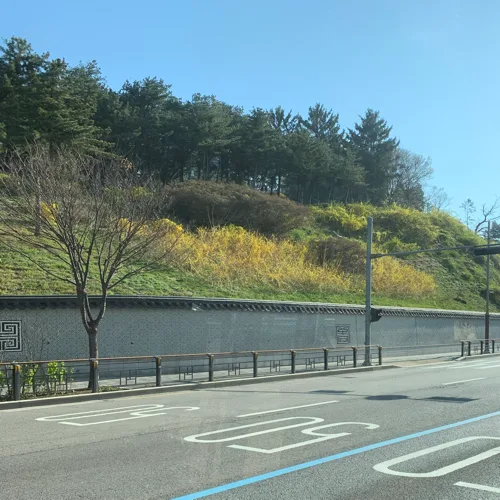 구두약
