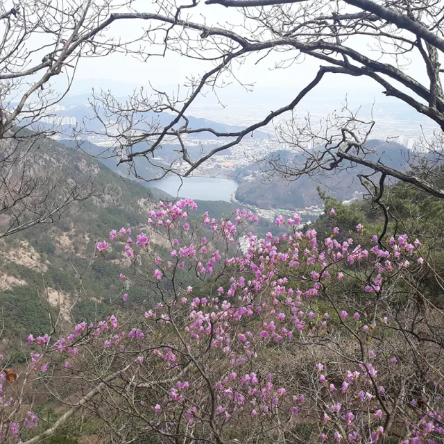 행운만땅